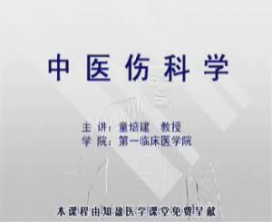 浙江中医药大学《中医伤科学》17集教学视频下载 – 教学视频下载中医教学-中医资料-中医医案-中医针灸-古籍珍本-中医基础-中医经典-中医-名家学术-中医男科-疾病专治-经方论治-名族医药-中医方剂-中药本草-中医拔罐-中医刮痧-推拿按摩-中医内科-中西结合-中医妇科-中医皮肤-中医医话-中医外科-中医儿科-中医儿科-海外中医-特色疗法-中医骨伤-中医四诊-中医养生阁