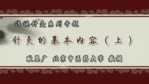 北京中医药大学《浅说针灸系列专题》49集教学视频下载 - 教学视频下载 - 中医养生阁中医教学-中医资料-中医医案-中医针灸-古籍珍本-中医基础-中医经典-中医-名家学术-中医男科-疾病专治-经方论治-名族医药-中医方剂-中药本草-中医拔罐-中医刮痧-推拿按摩-中医内科-中西结合-中医妇科-中医皮肤-中医医话-中医外科-中医儿科-中医儿科-海外中医-特色疗法-中医骨伤-中医四诊-中医养生阁