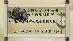 第九期全国经方临床运用(肾病)高级研修班45集教学视频下载 - 教学视频下载中医教学-中医资料-中医医案-中医针灸-古籍珍本-中医基础-中医经典-中医-名家学术-中医男科-疾病专治-经方论治-名族医药-中医方剂-中药本草-中医拔罐-中医刮痧-推拿按摩-中医内科-中西结合-中医妇科-中医皮肤-中医医话-中医外科-中医儿科-中医儿科-海外中医-特色疗法-中医骨伤-中医四诊-中医养生阁