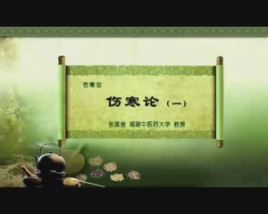 福建中医药大学《伤寒论》26集教学视频下载 - 教学视频下载中医教学-中医资料-中医医案-中医针灸-古籍珍本-中医基础-中医经典-中医-名家学术-中医男科-疾病专治-经方论治-名族医药-中医方剂-中药本草-中医拔罐-中医刮痧-推拿按摩-中医内科-中西结合-中医妇科-中医皮肤-中医医话-中医外科-中医儿科-中医儿科-海外中医-特色疗法-中医骨伤-中医四诊-中医养生阁