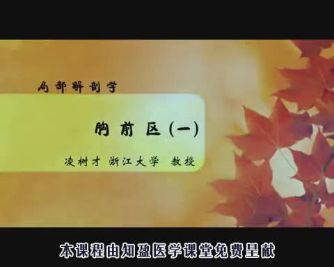 北京中医药大学《黄帝内经》80集教学视频下载 - 教学视频下载 - 中医养生阁中医教学-中医资料-中医医案-中医针灸-古籍珍本-中医基础-中医经典-中医-名家学术-中医男科-疾病专治-经方论治-名族医药-中医方剂-中药本草-中医拔罐-中医刮痧-推拿按摩-中医内科-中西结合-中医妇科-中医皮肤-中医医话-中医外科-中医儿科-中医儿科-海外中医-特色疗法-中医骨伤-中医四诊-中医养生阁