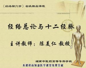 湖南中医药高等专科学校《经络腧穴学》56集教学视频下载 - 教学视频下载中医教学-中医资料-中医医案-中医针灸-古籍珍本-中医基础-中医经典-中医-名家学术-中医男科-疾病专治-经方论治-名族医药-中医方剂-中药本草-中医拔罐-中医刮痧-推拿按摩-中医内科-中西结合-中医妇科-中医皮肤-中医医话-中医外科-中医儿科-中医儿科-海外中医-特色疗法-中医骨伤-中医四诊-中医养生阁