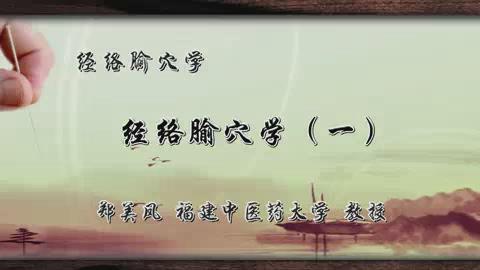 福建中医药大学《经络腧穴学》15集教学视频下载 - 教学视频下载 - 中医养生阁中医教学-中医资料-中医医案-中医针灸-古籍珍本-中医基础-中医经典-中医-名家学术-中医男科-疾病专治-经方论治-名族医药-中医方剂-中药本草-中医拔罐-中医刮痧-推拿按摩-中医内科-中西结合-中医妇科-中医皮肤-中医医话-中医外科-中医儿科-中医儿科-海外中医-特色疗法-中医骨伤-中医四诊-中医养生阁