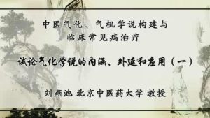 北京中医药大学《中医气化、气机学说构建与临床常见病治疗》19集教学视频下载 - 教学视频下载中医教学-中医资料-中医医案-中医针灸-古籍珍本-中医基础-中医经典-中医-名家学术-中医男科-疾病专治-经方论治-名族医药-中医方剂-中药本草-中医拔罐-中医刮痧-推拿按摩-中医内科-中西结合-中医妇科-中医皮肤-中医医话-中医外科-中医儿科-中医儿科-海外中医-特色疗法-中医骨伤-中医四诊-中医养生阁