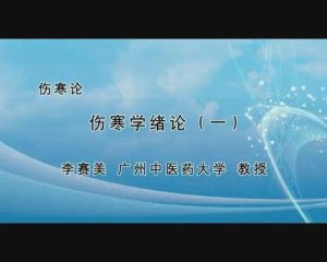 广州中医药大学《伤寒论》132集教学视频下载 - 教学视频下载中医教学-中医资料-中医医案-中医针灸-古籍珍本-中医基础-中医经典-中医-名家学术-中医男科-疾病专治-经方论治-名族医药-中医方剂-中药本草-中医拔罐-中医刮痧-推拿按摩-中医内科-中西结合-中医妇科-中医皮肤-中医医话-中医外科-中医儿科-中医儿科-海外中医-特色疗法-中医骨伤-中医四诊-中医养生阁