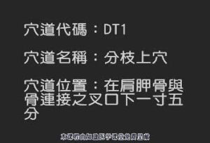 董氏针灸取穴 - 教学视频下载中医教学-中医资料-中医医案-中医针灸-古籍珍本-中医基础-中医经典-中医-名家学术-中医男科-疾病专治-经方论治-名族医药-中医方剂-中药本草-中医拔罐-中医刮痧-推拿按摩-中医内科-中西结合-中医妇科-中医皮肤-中医医话-中医外科-中医儿科-中医儿科-海外中医-特色疗法-中医骨伤-中医四诊-中医养生阁