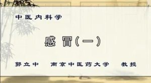 南京中医药大学《中医内科学》24集教学视频下载 - 教学视频下载中医教学-中医资料-中医医案-中医针灸-古籍珍本-中医基础-中医经典-中医-名家学术-中医男科-疾病专治-经方论治-名族医药-中医方剂-中药本草-中医拔罐-中医刮痧-推拿按摩-中医内科-中西结合-中医妇科-中医皮肤-中医医话-中医外科-中医儿科-中医儿科-海外中医-特色疗法-中医骨伤-中医四诊-中医养生阁