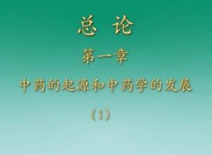 广东药学院《中药学》67集教学视频下载 – 教学视频下载中医教学-中医资料-中医医案-中医针灸-古籍珍本-中医基础-中医经典-中医-名家学术-中医男科-疾病专治-经方论治-名族医药-中医方剂-中药本草-中医拔罐-中医刮痧-推拿按摩-中医内科-中西结合-中医妇科-中医皮肤-中医医话-中医外科-中医儿科-中医儿科-海外中医-特色疗法-中医骨伤-中医四诊-中医养生阁