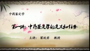 辽宁中医药大学《中药鉴定学》42集教学视频下载 - 教学视频下载中医教学-中医资料-中医医案-中医针灸-古籍珍本-中医基础-中医经典-中医-名家学术-中医男科-疾病专治-经方论治-名族医药-中医方剂-中药本草-中医拔罐-中医刮痧-推拿按摩-中医内科-中西结合-中医妇科-中医皮肤-中医医话-中医外科-中医儿科-中医儿科-海外中医-特色疗法-中医骨伤-中医四诊-中医养生阁