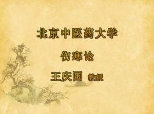 北京中医药大学《伤寒论》69集教学视频下载 - 教学视频下载中医教学-中医资料-中医医案-中医针灸-古籍珍本-中医基础-中医经典-中医-名家学术-中医男科-疾病专治-经方论治-名族医药-中医方剂-中药本草-中医拔罐-中医刮痧-推拿按摩-中医内科-中西结合-中医妇科-中医皮肤-中医医话-中医外科-中医儿科-中医儿科-海外中医-特色疗法-中医骨伤-中医四诊-中医养生阁