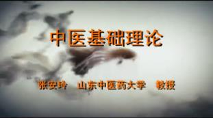 山东中医药大学《中医基础理论》64集教学视频下载 - 教学视频下载 - 中医养生阁中医教学-中医资料-中医医案-中医针灸-古籍珍本-中医基础-中医经典-中医-名家学术-中医男科-疾病专治-经方论治-名族医药-中医方剂-中药本草-中医拔罐-中医刮痧-推拿按摩-中医内科-中西结合-中医妇科-中医皮肤-中医医话-中医外科-中医儿科-中医儿科-海外中医-特色疗法-中医骨伤-中医四诊-中医养生阁