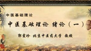 北京中医药大学《中医基础学》58集教学视频下载 - 教学视频下载中医教学-中医资料-中医医案-中医针灸-古籍珍本-中医基础-中医经典-中医-名家学术-中医男科-疾病专治-经方论治-名族医药-中医方剂-中药本草-中医拔罐-中医刮痧-推拿按摩-中医内科-中西结合-中医妇科-中医皮肤-中医医话-中医外科-中医儿科-中医儿科-海外中医-特色疗法-中医骨伤-中医四诊-中医养生阁
