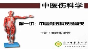 浙江中医药大学《中医伤科学》40集教学视频下载 – 教学视频下载中医教学-中医资料-中医医案-中医针灸-古籍珍本-中医基础-中医经典-中医-名家学术-中医男科-疾病专治-经方论治-名族医药-中医方剂-中药本草-中医拔罐-中医刮痧-推拿按摩-中医内科-中西结合-中医妇科-中医皮肤-中医医话-中医外科-中医儿科-中医儿科-海外中医-特色疗法-中医骨伤-中医四诊-中医养生阁