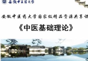 安徽中医药大学《中医基础理论》75集教学视频下载 - 教学视频下载中医教学-中医资料-中医医案-中医针灸-古籍珍本-中医基础-中医经典-中医-名家学术-中医男科-疾病专治-经方论治-名族医药-中医方剂-中药本草-中医拔罐-中医刮痧-推拿按摩-中医内科-中西结合-中医妇科-中医皮肤-中医医话-中医外科-中医儿科-中医儿科-海外中医-特色疗法-中医骨伤-中医四诊-中医养生阁