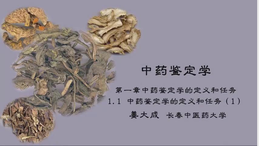 长春中医药大学《中药鉴定学》46集 - 教学视频下载 - 中医养生阁中医教学-中医资料-中医医案-中医针灸-古籍珍本-中医基础-中医经典-中医-名家学术-中医男科-疾病专治-经方论治-名族医药-中医方剂-中药本草-中医拔罐-中医刮痧-推拿按摩-中医内科-中西结合-中医妇科-中医皮肤-中医医话-中医外科-中医儿科-中医儿科-海外中医-特色疗法-中医骨伤-中医四诊-中医养生阁