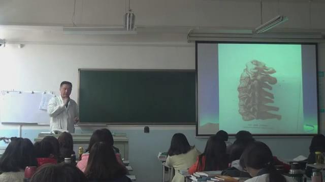 新疆医科大学《推拿治疗学》30集 - 教学视频下载 - 中医养生阁中医教学-中医资料-中医医案-中医针灸-古籍珍本-中医基础-中医经典-中医-名家学术-中医男科-疾病专治-经方论治-名族医药-中医方剂-中药本草-中医拔罐-中医刮痧-推拿按摩-中医内科-中西结合-中医妇科-中医皮肤-中医医话-中医外科-中医儿科-中医儿科-海外中医-特色疗法-中医骨伤-中医四诊-中医养生阁