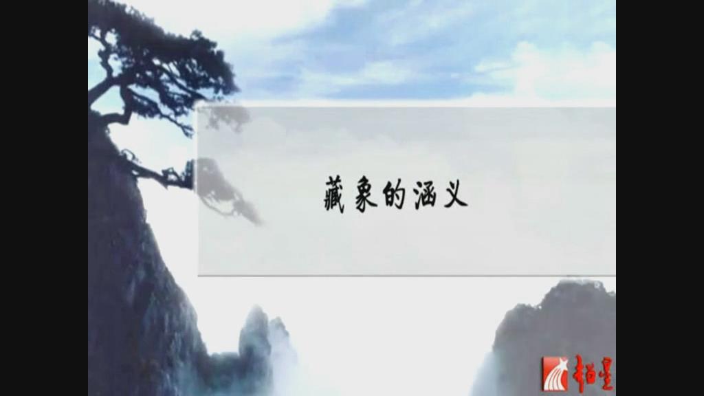 天津中医药大学《藏象理论》 - 教学视频下载 - 中医养生阁中医教学-中医资料-中医医案-中医针灸-古籍珍本-中医基础-中医经典-中医-名家学术-中医男科-疾病专治-经方论治-名族医药-中医方剂-中药本草-中医拔罐-中医刮痧-推拿按摩-中医内科-中西结合-中医妇科-中医皮肤-中医医话-中医外科-中医儿科-中医儿科-海外中医-特色疗法-中医骨伤-中医四诊-中医养生阁