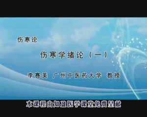 广州中医药大学《伤寒论》110集 - 教学视频下载中医教学-中医资料-中医医案-中医针灸-古籍珍本-中医基础-中医经典-中医-名家学术-中医男科-疾病专治-经方论治-名族医药-中医方剂-中药本草-中医拔罐-中医刮痧-推拿按摩-中医内科-中西结合-中医妇科-中医皮肤-中医医话-中医外科-中医儿科-中医儿科-海外中医-特色疗法-中医骨伤-中医四诊-中医养生阁