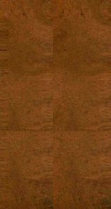 雪樵经解  卷12-14PDF电子书下载 -中医教学-中医资料-中医医案-中医针灸-古籍珍本-中医基础-中医经典-中医-名家学术-中医男科-疾病专治-经方论治-名族医药-中医方剂-中药本草-中医拔罐-中医刮痧-推拿按摩-中医内科-中西结合-中医妇科-中医皮肤-中医医话-中医外科-中医儿科-中医儿科-海外中医-特色疗法-中医骨伤-中医四诊-中医养生阁