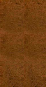 雪樵经解  卷6-11PDF电子书下载 -中医教学-中医资料-中医医案-中医针灸-古籍珍本-中医基础-中医经典-中医-名家学术-中医男科-疾病专治-经方论治-名族医药-中医方剂-中药本草-中医拔罐-中医刮痧-推拿按摩-中医内科-中西结合-中医妇科-中医皮肤-中医医话-中医外科-中医儿科-中医儿科-海外中医-特色疗法-中医骨伤-中医四诊-中医养生阁