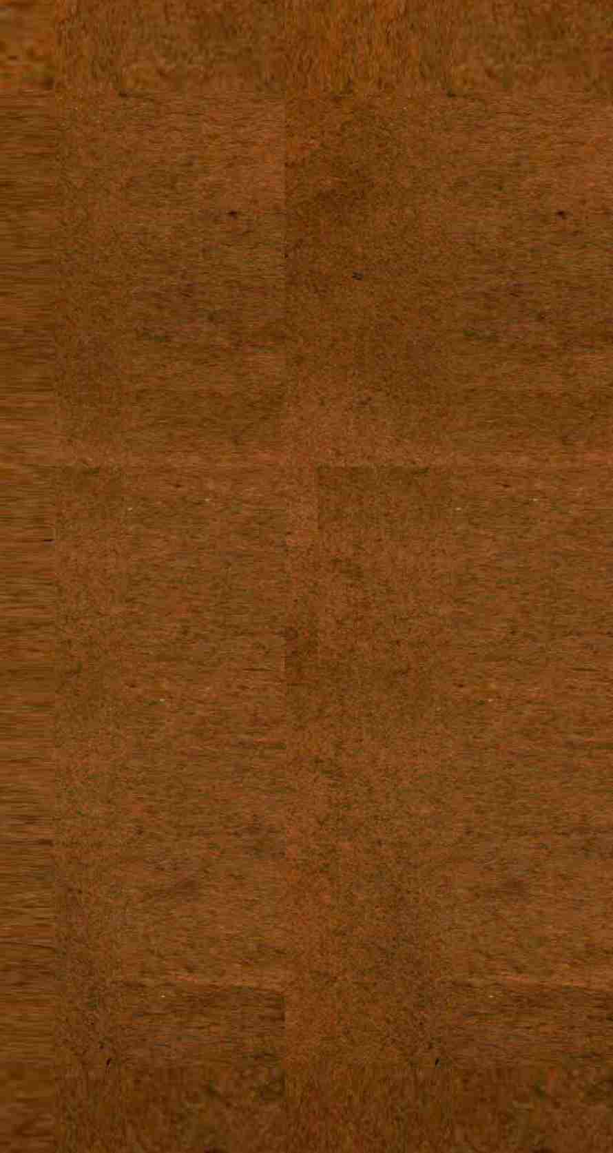 雪樵经解 原序 分目 卷1-5PDF电子书下载 - 中医养生阁中医教学-中医资料-中医医案-中医针灸-古籍珍本-中医基础-中医经典-中医-名家学术-中医男科-疾病专治-经方论治-名族医药-中医方剂-中药本草-中医拔罐-中医刮痧-推拿按摩-中医内科-中西结合-中医妇科-中医皮肤-中医医话-中医外科-中医儿科-中医儿科-海外中医-特色疗法-中医骨伤-中医四诊-中医养生阁