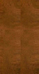 雪樵经解  卷25-27PDF电子书下载 -中医教学-中医资料-中医医案-中医针灸-古籍珍本-中医基础-中医经典-中医-名家学术-中医男科-疾病专治-经方论治-名族医药-中医方剂-中药本草-中医拔罐-中医刮痧-推拿按摩-中医内科-中西结合-中医妇科-中医皮肤-中医医话-中医外科-中医儿科-中医儿科-海外中医-特色疗法-中医骨伤-中医四诊-中医养生阁