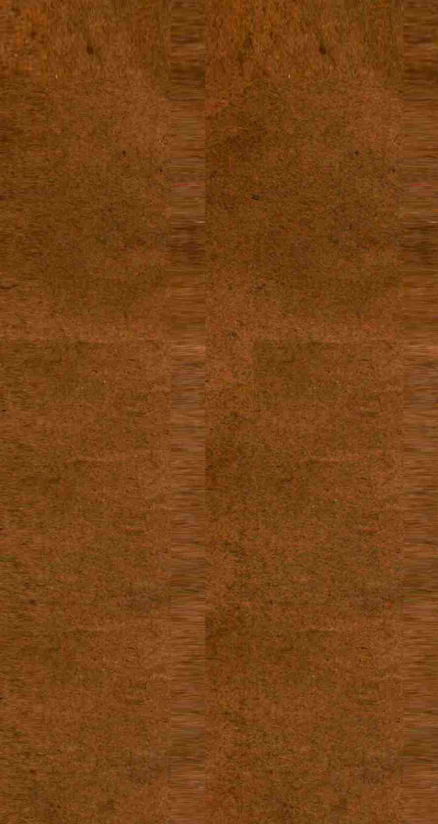 雪樵经解 卷19-24PDF电子书下载 - 中医养生阁中医教学-中医资料-中医医案-中医针灸-古籍珍本-中医基础-中医经典-中医-名家学术-中医男科-疾病专治-经方论治-名族医药-中医方剂-中药本草-中医拔罐-中医刮痧-推拿按摩-中医内科-中西结合-中医妇科-中医皮肤-中医医话-中医外科-中医儿科-中医儿科-海外中医-特色疗法-中医骨伤-中医四诊-中医养生阁