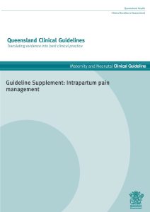 [增补]2023 昆士兰临床指南：分娩期间疼痛管理（V1）PDF电子书下载中医教学-中医资料-中医医案-中医针灸-古籍珍本-中医基础-中医经典-中医-名家学术-中医男科-疾病专治-经方论治-名族医药-中医方剂-中药本草-中医拔罐-中医刮痧-推拿按摩-中医内科-中西结合-中医妇科-中医皮肤-中医医话-中医外科-中医儿科-中医儿科-海外中医-特色疗法-中医骨伤-中医四诊-中医养生阁