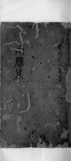 南阳医案 上PDF电子书下载 - 中医养生阁中医教学-中医资料-中医医案-中医针灸-古籍珍本-中医基础-中医经典-中医-名家学术-中医男科-疾病专治-经方论治-名族医药-中医方剂-中药本草-中医拔罐-中医刮痧-推拿按摩-中医内科-中西结合-中医妇科-中医皮肤-中医医话-中医外科-中医儿科-中医儿科-海外中医-特色疗法-中医骨伤-中医四诊-中医养生阁