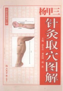 杨甲三针灸取穴图谱 全新彩图修订版PDF电子书下载中医教学-中医资料-中医医案-中医针灸-古籍珍本-中医基础-中医经典-中医-名家学术-中医男科-疾病专治-经方论治-名族医药-中医方剂-中药本草-中医拔罐-中医刮痧-推拿按摩-中医内科-中西结合-中医妇科-中医皮肤-中医医话-中医外科-中医儿科-中医儿科-海外中医-特色疗法-中医骨伤-中医四诊-中医养生阁