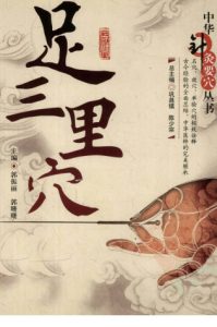 中华针灸要穴丛书 足三里穴PDF电子书下载中医教学-中医资料-中医医案-中医针灸-古籍珍本-中医基础-中医经典-中医-名家学术-中医男科-疾病专治-经方论治-名族医药-中医方剂-中药本草-中医拔罐-中医刮痧-推拿按摩-中医内科-中西结合-中医妇科-中医皮肤-中医医话-中医外科-中医儿科-中医儿科-海外中医-特色疗法-中医骨伤-中医四诊-中医养生阁