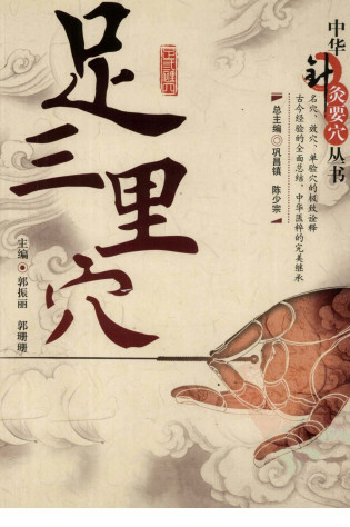 中华针灸要穴丛书 足三里穴PDF电子书下载 - 中医养生阁中医教学-中医资料-中医医案-中医针灸-古籍珍本-中医基础-中医经典-中医-名家学术-中医男科-疾病专治-经方论治-名族医药-中医方剂-中药本草-中医拔罐-中医刮痧-推拿按摩-中医内科-中西结合-中医妇科-中医皮肤-中医医话-中医外科-中医儿科-中医儿科-海外中医-特色疗法-中医骨伤-中医四诊-中医养生阁