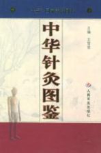 中华针灸图鉴PDF电子书下载中医教学-中医资料-中医医案-中医针灸-古籍珍本-中医基础-中医经典-中医-名家学术-中医男科-疾病专治-经方论治-名族医药-中医方剂-中药本草-中医拔罐-中医刮痧-推拿按摩-中医内科-中西结合-中医妇科-中医皮肤-中医医话-中医外科-中医儿科-中医儿科-海外中医-特色疗法-中医骨伤-中医四诊-中医养生阁