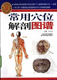 常用穴位解剖图谱PDF电子书下载中医教学-中医资料-中医医案-中医针灸-古籍珍本-中医基础-中医经典-中医-名家学术-中医男科-疾病专治-经方论治-名族医药-中医方剂-中药本草-中医拔罐-中医刮痧-推拿按摩-中医内科-中西结合-中医妇科-中医皮肤-中医医话-中医外科-中医儿科-中医儿科-海外中医-特色疗法-中医骨伤-中医四诊-中医养生阁