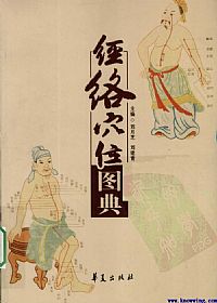 经络穴位图典PDF电子书下载中医教学-中医资料-中医医案-中医针灸-古籍珍本-中医基础-中医经典-中医-名家学术-中医男科-疾病专治-经方论治-名族医药-中医方剂-中药本草-中医拔罐-中医刮痧-推拿按摩-中医内科-中西结合-中医妇科-中医皮肤-中医医话-中医外科-中医儿科-中医儿科-海外中医-特色疗法-中医骨伤-中医四诊-中医养生阁