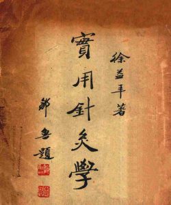 实用针灸学PDF电子书下载中医教学-中医资料-中医医案-中医针灸-古籍珍本-中医基础-中医经典-中医-名家学术-中医男科-疾病专治-经方论治-名族医药-中医方剂-中药本草-中医拔罐-中医刮痧-推拿按摩-中医内科-中西结合-中医妇科-中医皮肤-中医医话-中医外科-中医儿科-中医儿科-海外中医-特色疗法-中医骨伤-中医四诊-中医养生阁