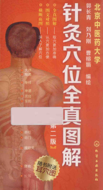 针灸穴位全真图解 第2版PDF电子书下载 - 中医养生阁中医教学-中医资料-中医医案-中医针灸-古籍珍本-中医基础-中医经典-中医-名家学术-中医男科-疾病专治-经方论治-名族医药-中医方剂-中药本草-中医拔罐-中医刮痧-推拿按摩-中医内科-中西结合-中医妇科-中医皮肤-中医医话-中医外科-中医儿科-中医儿科-海外中医-特色疗法-中医骨伤-中医四诊-中医养生阁