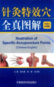 针灸特效穴全真图解:汉英对照PDF电子书下载中医教学-中医资料-中医医案-中医针灸-古籍珍本-中医基础-中医经典-中医-名家学术-中医男科-疾病专治-经方论治-名族医药-中医方剂-中药本草-中医拔罐-中医刮痧-推拿按摩-中医内科-中西结合-中医妇科-中医皮肤-中医医话-中医外科-中医儿科-中医儿科-海外中医-特色疗法-中医骨伤-中医四诊-中医养生阁