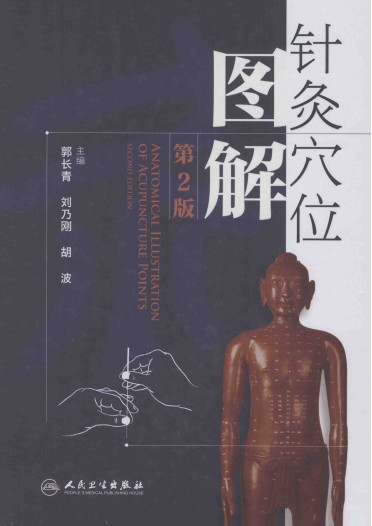 针灸穴位图解第2版PDF电子书下载 - 中医养生阁中医教学-中医资料-中医医案-中医针灸-古籍珍本-中医基础-中医经典-中医-名家学术-中医男科-疾病专治-经方论治-名族医药-中医方剂-中药本草-中医拔罐-中医刮痧-推拿按摩-中医内科-中西结合-中医妇科-中医皮肤-中医医话-中医外科-中医儿科-中医儿科-海外中医-特色疗法-中医骨伤-中医四诊-中医养生阁