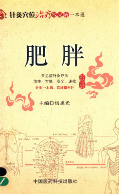 针灸穴位治疗常见病一本通 肥胖PDF电子书下载 - 中医养生阁中医教学-中医资料-中医医案-中医针灸-古籍珍本-中医基础-中医经典-中医-名家学术-中医男科-疾病专治-经方论治-名族医药-中医方剂-中药本草-中医拔罐-中医刮痧-推拿按摩-中医内科-中西结合-中医妇科-中医皮肤-中医医话-中医外科-中医儿科-中医儿科-海外中医-特色疗法-中医骨伤-中医四诊-中医养生阁
