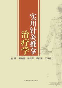 实用针灸推拿治疗学PDF电子书下载中医教学-中医资料-中医医案-中医针灸-古籍珍本-中医基础-中医经典-中医-名家学术-中医男科-疾病专治-经方论治-名族医药-中医方剂-中药本草-中医拔罐-中医刮痧-推拿按摩-中医内科-中西结合-中医妇科-中医皮肤-中医医话-中医外科-中医儿科-中医儿科-海外中医-特色疗法-中医骨伤-中医四诊-中医养生阁