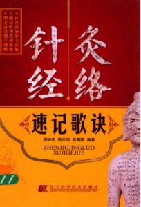 针灸经络速记歌诀PDF电子书下载中医教学-中医资料-中医医案-中医针灸-古籍珍本-中医基础-中医经典-中医-名家学术-中医男科-疾病专治-经方论治-名族医药-中医方剂-中药本草-中医拔罐-中医刮痧-推拿按摩-中医内科-中西结合-中医妇科-中医皮肤-中医医话-中医外科-中医儿科-中医儿科-海外中医-特色疗法-中医骨伤-中医四诊-中医养生阁