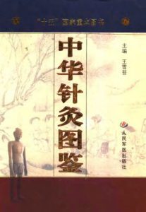 中华针灸图鉴PDF电子书下载中医教学-中医资料-中医医案-中医针灸-古籍珍本-中医基础-中医经典-中医-名家学术-中医男科-疾病专治-经方论治-名族医药-中医方剂-中药本草-中医拔罐-中医刮痧-推拿按摩-中医内科-中西结合-中医妇科-中医皮肤-中医医话-中医外科-中医儿科-中医儿科-海外中医-特色疗法-中医骨伤-中医四诊-中医养生阁