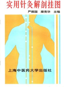 实用针灸解剖挂图PDF电子书下载中医教学-中医资料-中医医案-中医针灸-古籍珍本-中医基础-中医经典-中医-名家学术-中医男科-疾病专治-经方论治-名族医药-中医方剂-中药本草-中医拔罐-中医刮痧-推拿按摩-中医内科-中西结合-中医妇科-中医皮肤-中医医话-中医外科-中医儿科-中医儿科-海外中医-特色疗法-中医骨伤-中医四诊-中医养生阁