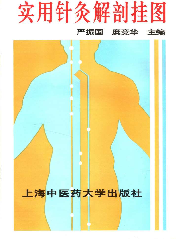 实用针灸解剖挂图PDF电子书下载 - 中医养生阁中医教学-中医资料-中医医案-中医针灸-古籍珍本-中医基础-中医经典-中医-名家学术-中医男科-疾病专治-经方论治-名族医药-中医方剂-中药本草-中医拔罐-中医刮痧-推拿按摩-中医内科-中西结合-中医妇科-中医皮肤-中医医话-中医外科-中医儿科-中医儿科-海外中医-特色疗法-中医骨伤-中医四诊-中医养生阁