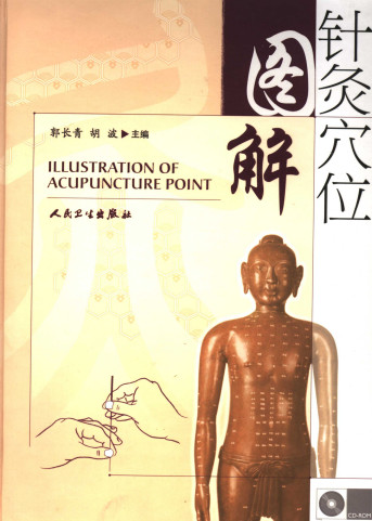 针灸穴位图解PDF电子书下载 - 中医养生阁中医教学-中医资料-中医医案-中医针灸-古籍珍本-中医基础-中医经典-中医-名家学术-中医男科-疾病专治-经方论治-名族医药-中医方剂-中药本草-中医拔罐-中医刮痧-推拿按摩-中医内科-中西结合-中医妇科-中医皮肤-中医医话-中医外科-中医儿科-中医儿科-海外中医-特色疗法-中医骨伤-中医四诊-中医养生阁