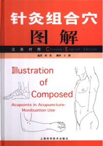 汉英对照针灸组合穴图解PDF电子书下载中医教学-中医资料-中医医案-中医针灸-古籍珍本-中医基础-中医经典-中医-名家学术-中医男科-疾病专治-经方论治-名族医药-中医方剂-中药本草-中医拔罐-中医刮痧-推拿按摩-中医内科-中西结合-中医妇科-中医皮肤-中医医话-中医外科-中医儿科-中医儿科-海外中医-特色疗法-中医骨伤-中医四诊-中医养生阁