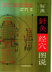 标准针灸经穴图说PDF电子书下载中医教学-中医资料-中医医案-中医针灸-古籍珍本-中医基础-中医经典-中医-名家学术-中医男科-疾病专治-经方论治-名族医药-中医方剂-中药本草-中医拔罐-中医刮痧-推拿按摩-中医内科-中西结合-中医妇科-中医皮肤-中医医话-中医外科-中医儿科-中医儿科-海外中医-特色疗法-中医骨伤-中医四诊-中医养生阁