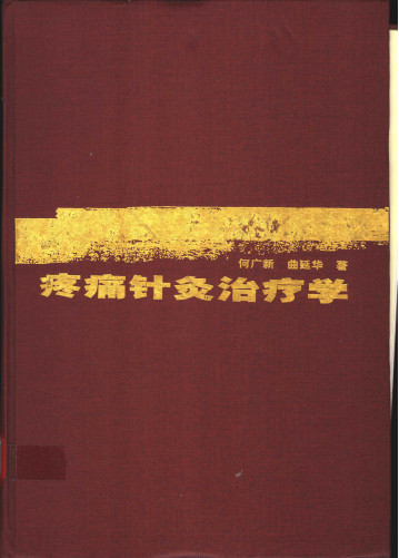 疼痛针灸治疗学PDF电子书下载 - 中医养生阁中医教学-中医资料-中医医案-中医针灸-古籍珍本-中医基础-中医经典-中医-名家学术-中医男科-疾病专治-经方论治-名族医药-中医方剂-中药本草-中医拔罐-中医刮痧-推拿按摩-中医内科-中西结合-中医妇科-中医皮肤-中医医话-中医外科-中医儿科-中医儿科-海外中医-特色疗法-中医骨伤-中医四诊-中医养生阁