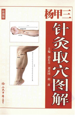 杨甲三针灸取穴图解PDF电子书下载 - 中医养生阁中医教学-中医资料-中医医案-中医针灸-古籍珍本-中医基础-中医经典-中医-名家学术-中医男科-疾病专治-经方论治-名族医药-中医方剂-中药本草-中医拔罐-中医刮痧-推拿按摩-中医内科-中西结合-中医妇科-中医皮肤-中医医话-中医外科-中医儿科-中医儿科-海外中医-特色疗法-中医骨伤-中医四诊-中医养生阁